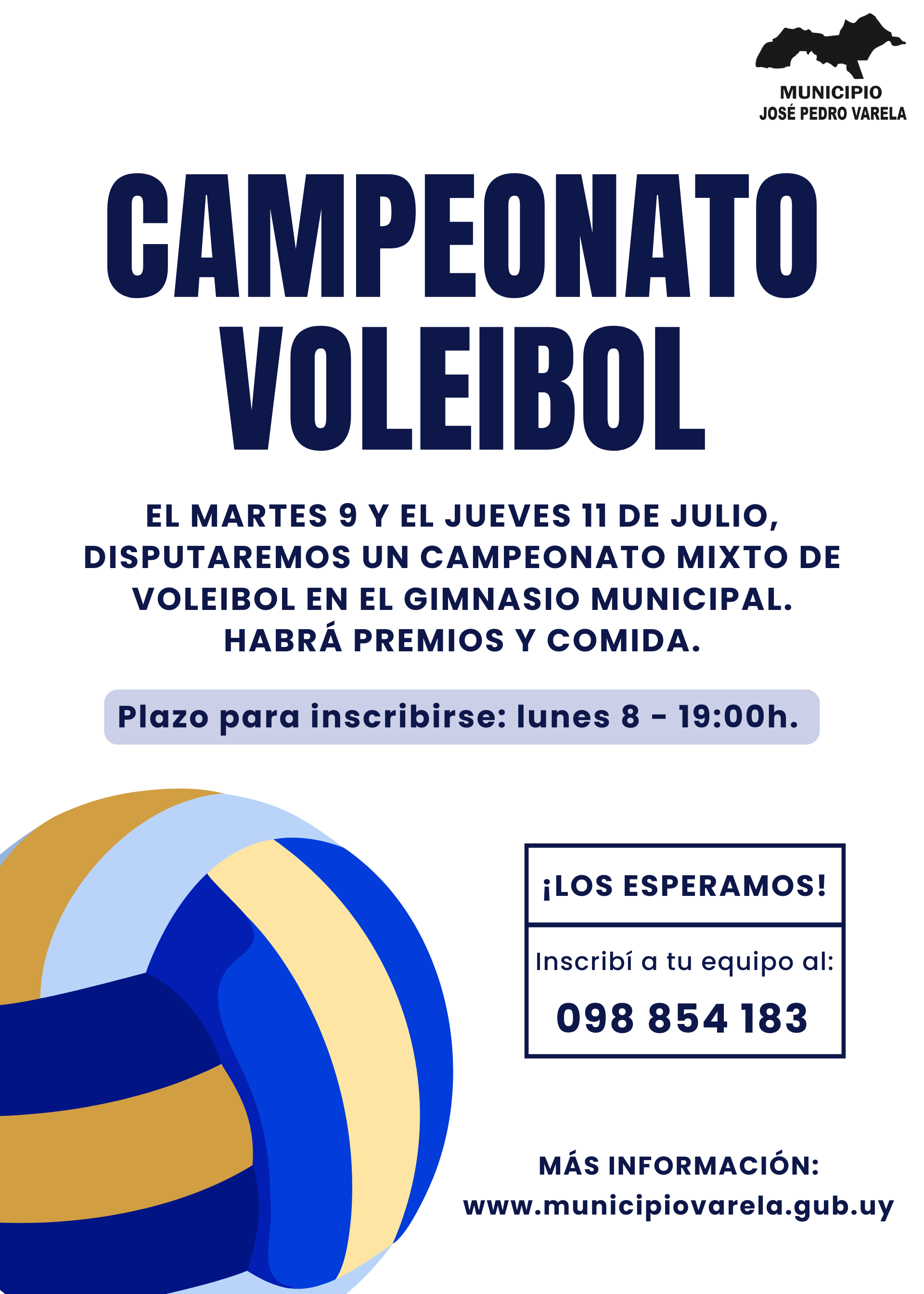 afiche.voley.campeonato